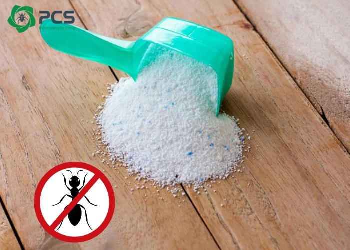 diệt kiến bằng xà phòng